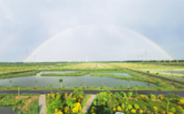 河北省廊坊市大清河水質(zhì)凈化PPP項(xiàng)目